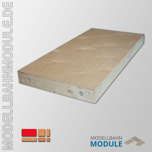 Modultisch 1000 x 500 mm Modultisch 1000 x 500 mm